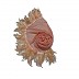 Georgette stole with feathers attached to it Georgette stole with feathers attached to it